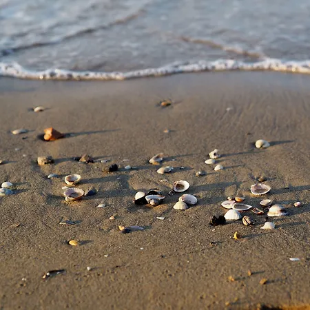 Seaside For 4 People In - Beahost