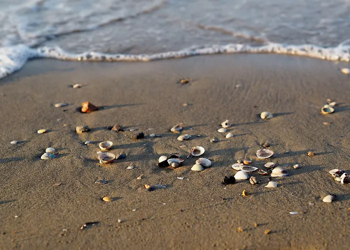 Seaside For 4 People In - Beahost